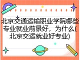 北京交通运输职业学院哪些专业就业前景好，为什么(北京交运就业好专业)