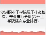 沙洲职业工学院属于什么档次，专业排行分析(沙洲工学院档次专业排行)