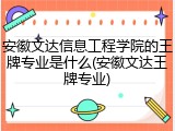 安徽文达信息工程学院的王牌专业是什么(安徽文达王牌专业)