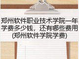 郑州软件职业技术学院一年学费多少钱，还有哪些费用(郑州软件学院学费)