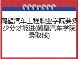 鹤壁汽车工程职业学院要多少分才能进(鹤壁汽车学院录取线)