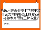 乌鲁木齐职业技术学院主攻什么方向有哪些王牌专业(乌鲁木齐职院王牌专业)