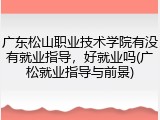 广东松山职业技术学院有没有就业指导，好就业吗(广松就业指导与前景)
