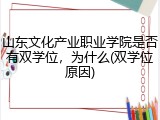 山东文化产业职业学院是否有双学位，为什么(双学位原因)