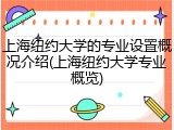 上海纽约大学的专业设置概况介绍(上海纽约大学专业概览)