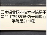 云南锡业职业技术学院是不是211或985高校(云南锡业学院是211吗)