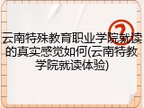 云南特殊教育职业学院就读的真实感觉如何(云南特教学院就读体验)