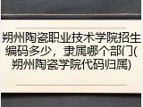 朔州陶瓷职业技术学院招生编码多少，隶属哪个部门(朔州陶瓷学院代码归属)