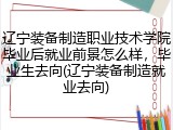辽宁装备制造职业技术学院毕业后就业前景怎么样，毕业生去向(辽宁装备制造就业去向)