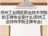 苏州工业园区职业技术学院的王牌专业是什么(苏州工业技师学院王牌专业)