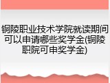 铜陵职业技术学院就读期间可以申请哪些奖学金(铜陵职院可申奖学金)