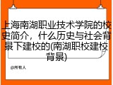 上海南湖职业技术学院的校史简介，什么历史与社会背景下建校的(南湖职校建校背景)