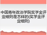 中国青年政治学院奖学金评定细则是怎样的(奖学金评定细则)