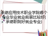 承德应用技术职业学院哪个专业毕业就业前景比较好(承德职院好就业专业)