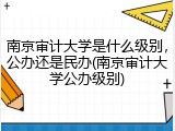 南京审计大学是什么级别，公办还是民办(南京审计大学公办级别)