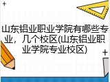 山东铝业职业学院有哪些专业，几个校区(山东铝业职业学院专业校区)