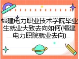 福建电力职业技术学院毕业生就业大致去向如何(福建电力职院就业去向)