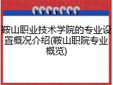 鞍山职业技术学院的专业设置概况介绍(鞍山职院专业概览)