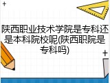 陕西职业技术学院是专科还是本科院校呢(陕西职院是专科吗)