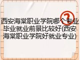 西安海棠职业学院哪个专业毕业就业前景比较好(西安海棠职业学院好就业专业)