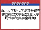 西北大学现代学院共开设有哪些类型奖学金(西北大学现代学院奖学金种类)