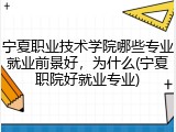 宁夏职业技术学院哪些专业就业前景好，为什么(宁夏职院好就业专业)