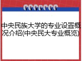 中央民族大学的专业设置概况介绍(中央民大专业概览)