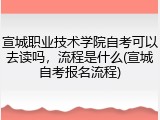 宣城职业技术学院自考可以去读吗，流程是什么(宣城自考报名流程)