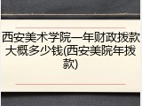 西安美术学院一年财政拨款大概多少钱(西安美院年拨款)