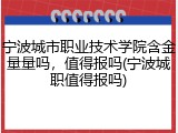宁波城市职业技术学院含金量量吗，值得报吗(宁波城职值得报吗)