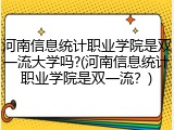 河南信息统计职业学院是双一流大学吗?(河南信息统计职业学院是双一流？)