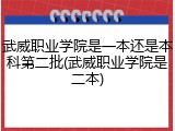 武威职业学院是一本还是本科第二批(武威职业学院是二本)