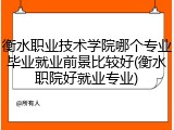 衡水职业技术学院哪个专业毕业就业前景比较好(衡水职院好就业专业)