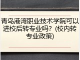 青岛港湾职业技术学院可以进校后转专业吗？(校内转专业政策)