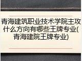 青海建筑职业技术学院主攻什么方向有哪些王牌专业(青海建院王牌专业)