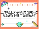 上海理工大学就读的真实感觉如何(上理工就读体验)