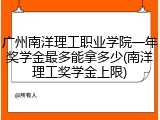广州南洋理工职业学院一年奖学金最多能拿多少(南洋理工奖学金上限)