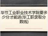 毕节工业职业技术学院要多少分才能进(毕工职录取分数线)