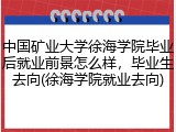 中国矿业大学徐海学院毕业后就业前景怎么样，毕业生去向(徐海学院就业去向)