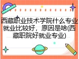 西藏职业技术学院什么专业就业比较好，原因是啥(西藏职院好就业专业)