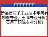 新疆石河子职业技术学院有哪些专业，王牌专业分析(石河子职院专业分析)