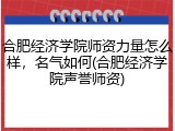 合肥经济学院师资力量怎么样，名气如何(合肥经济学院声誉师资)