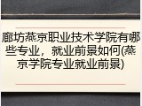 廊坊燕京职业技术学院有哪些专业，就业前景如何(燕京学院专业就业前景)