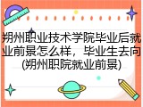 朔州职业技术学院毕业后就业前景怎么样，毕业生去向(朔州职院就业前景)