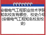 安徽电气工程职业技术学院知名校友有哪些，校史介绍(安徽电气工程知名校友校史)