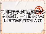 四川国际标榜职业学院什么专业最好，一年招多少人(标榜学院优势专业人数)