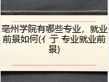 亳州学院有哪些专业，就业前景如何(亻亍 专业就业前景)