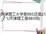 天津理工大学是985还是211(天津理工是985吗)