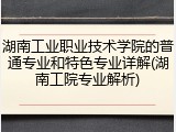 湖南工业职业技术学院的普通专业和特色专业详解(湖南工院专业解析)