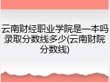 云南财经职业学院是一本吗录取分数线多少(云南财院分数线)
